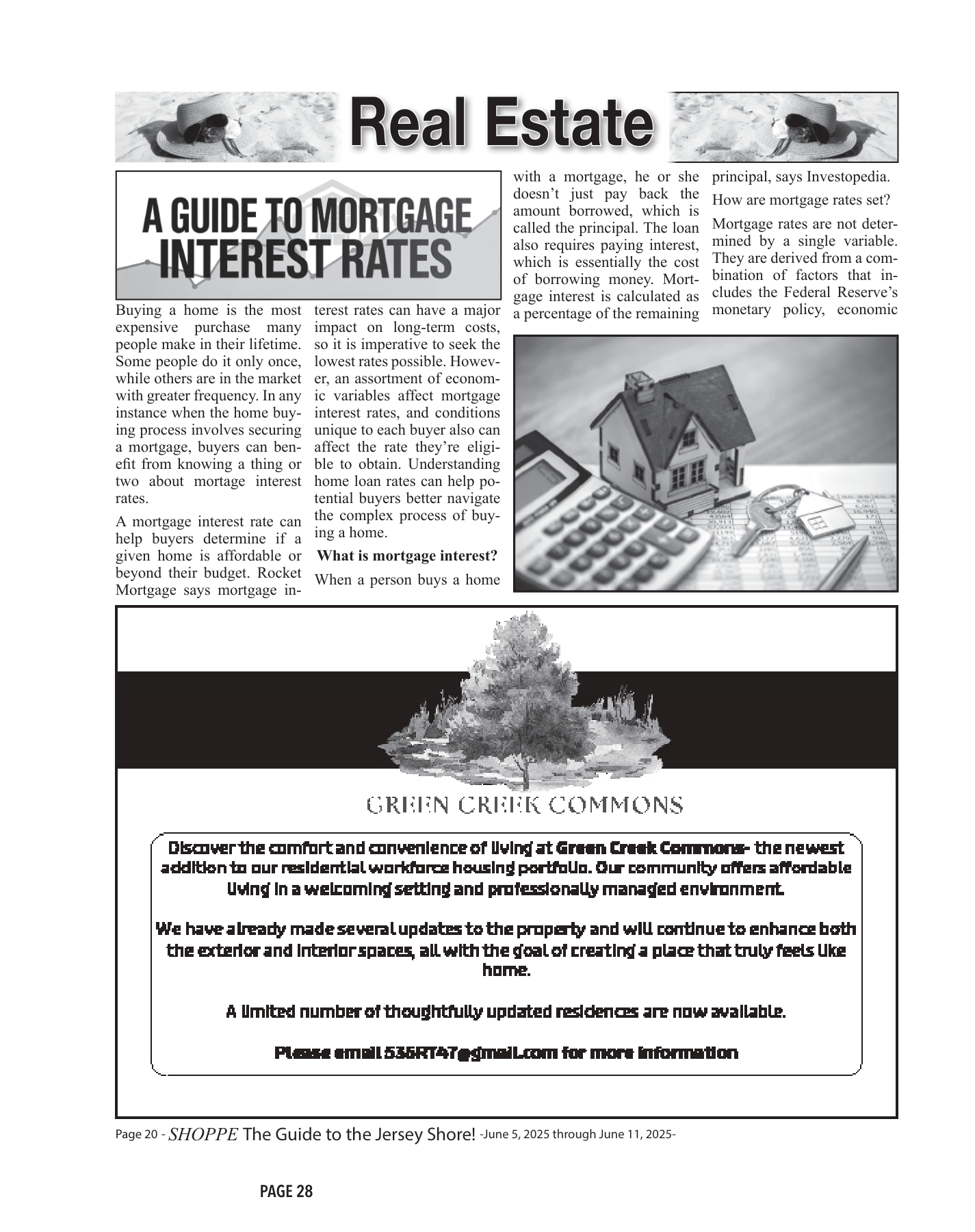 Cover for Vol. 3, Issue 12 - Holiday Edition